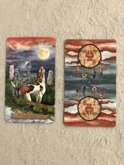 Конуэй, Найт, Мюллер: Комплект:  Таро магических собак+Таро Изменения Формы