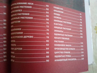 Горы, леса и растительный мир