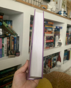 Стейси Браун: Дикие Земли