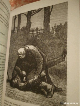 Виктор Гюго: Отверженные. Том II