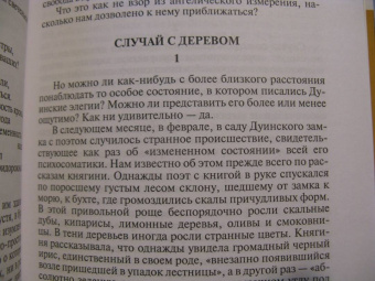 Николай Болдырев: Рильке