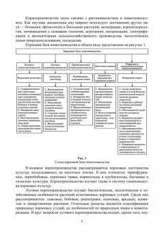 Наумкин, Крюков, Демидова: Региональное кормопроизводство. Учебное пособие