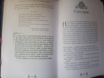 ван дер Ховен Джоанна: Книга странствующего друида. Полное руководство для одинокого искателя