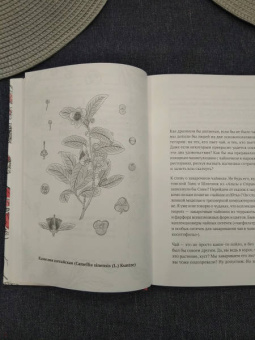 Катя Астафьефф: Невероятные приключения растений-путешественников