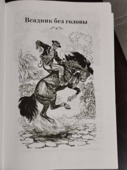 Рид Майн: Всадник без головы. Морской волчонок