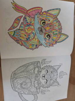 Линда Тейлор: Cats-7. Очаровательные котята. Творческая раскраска