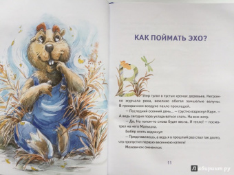 Игорь Шляпка: Маленькое Эхо