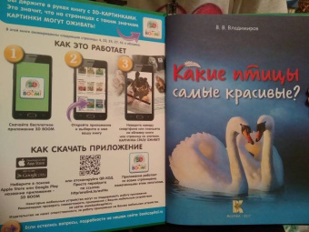 В. Владимиров: Какие птицы самые красивые?