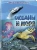 Анна МакРей: Океаны и моря. Виртуальная реальность