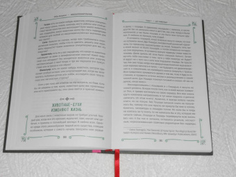 Дебра Деанджело: Любознательный язычник. Руководство для начинающих по природе, магии и духовности