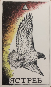 Ким Кранс: The Wild Unknown Animal Spirit. Дикое Неизвестное тотемное животное. Колода-оракул (63 карты и рук.)