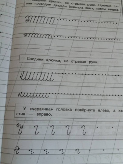 Надежда Жукова: Прописи для детей 6-8 лет. В 3-х тетрадях