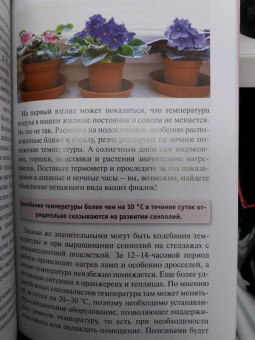 Надежда Ширяева: Узамбарские фиалки