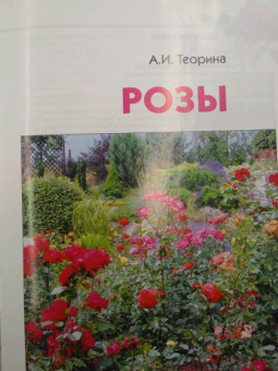 Александра Теорина: Розы. Моё увлечение