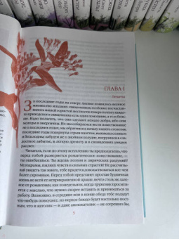 Шарлотта Бронте: Шерли