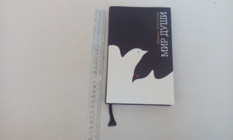 Шамиль Аляутдинов: Мир души