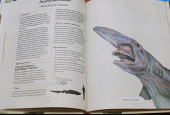 Сэми Бэйли: Энциклопедия удивительных животных