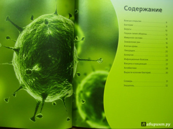 Война микробов