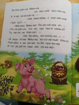 Ирина Шестакова: УЧ Шестакова. Непослушный поросёнок