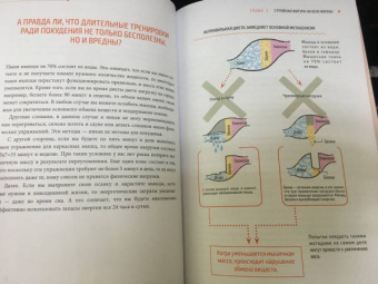 Кэнъити Сакума: Метод Сакума. Японская система формирования здорового мышечного каркаса за 5 минут в день