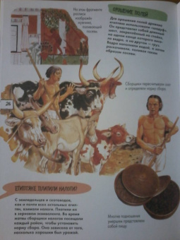 Агоста, МакРей: Древний Египет