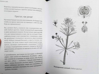 Катя Астафьефф: Дурное семя. Удивительная история жалящих, обжигающих и убивающих растений