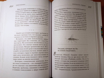 Анне Свердруп-Тайгенсон: Планета насекомых. Странные, прекрасные, незаменимые существа, которые заставляют наш мир вращаться