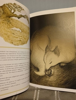 Нил Гейман: The Sandman. Песочный человек. Ловцы снов