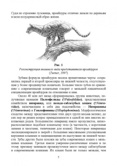 Веселова, Блохина: Биология, систематика и разведение кошачьих. Учебное пособие для вузов
