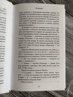 Роман Сенчин: Елтышевы