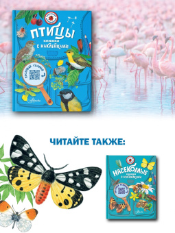 Мария Рахчеева: Птицы