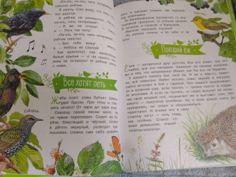 Николай Сладков: Лесные сказки