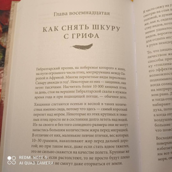 Клайв Финлейсон: Умный неандерталец. Охота на птиц, пещерное искусство и когнитивная революция