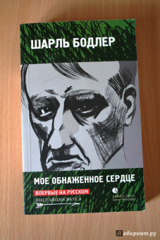 Шарль Бодлер: Мое обнаженное сердце:  Статьи, эссе