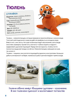 Лепим из пластилина летучую мышь, тюленя, белого медведя