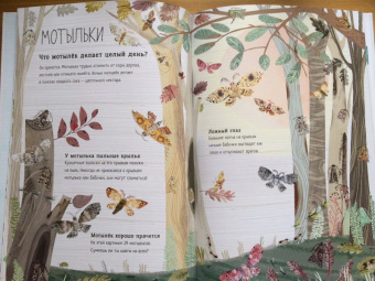 Зоммер, Тейлор: Большая книга букашек