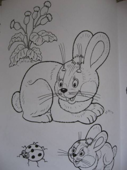 Татьяна Коваль: Домашние любимцы