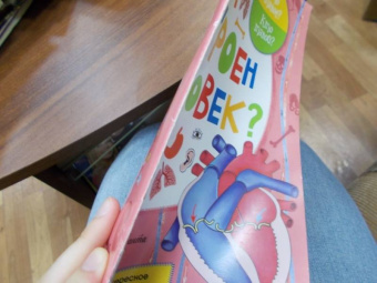 Вера Иванова: Как устроен человек?