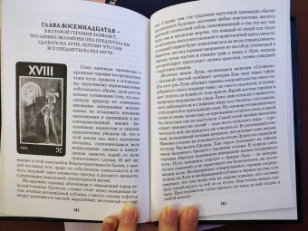 Хапатнюковская, Бахаев: Таро Манара. Бизнес на грани секса. Том 1