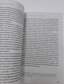 Дэниел Гоулман: Эмоциональный интеллект