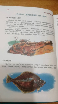Святослав Сахарнов: В мире дельфина и осьминога