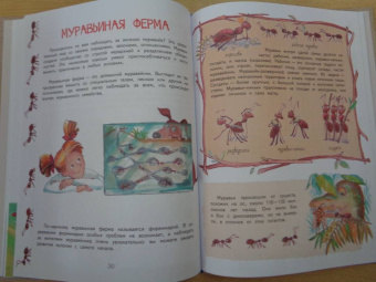 Елена Цезарь: Как это устроено