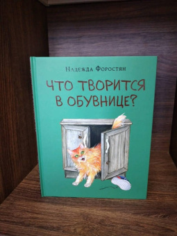 Надежда Форостян: Что творится в обувнице?