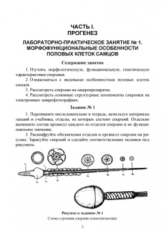 Гореликов, Шакирова: Биология размножения и развития. Лабораторный практикум. Учебно-методическое пособие