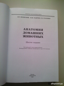 Акаевский, Юдичев, Селезнев: Анатомия домашних животных