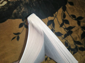 Сабин Дюран: Что упало, то пропало