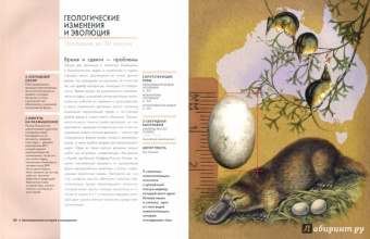 Бэтти, Клегг, Феллоу: Эволюция за 30 секунд
