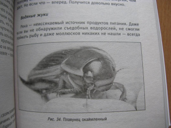 Кулинарная книга выживальщика