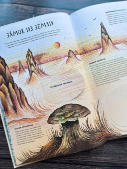 Анна Янкелевич: Королевство насекомых. Интерактивная книга с окошками о жизни муравьев, ос и пчел