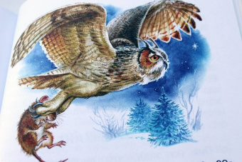 Виталий Бианки: Мышонок Пик